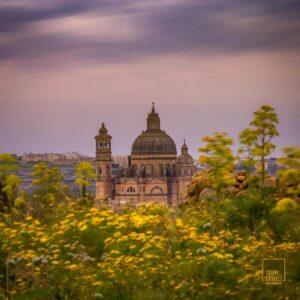 IMG_3070